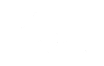 Developer Logo